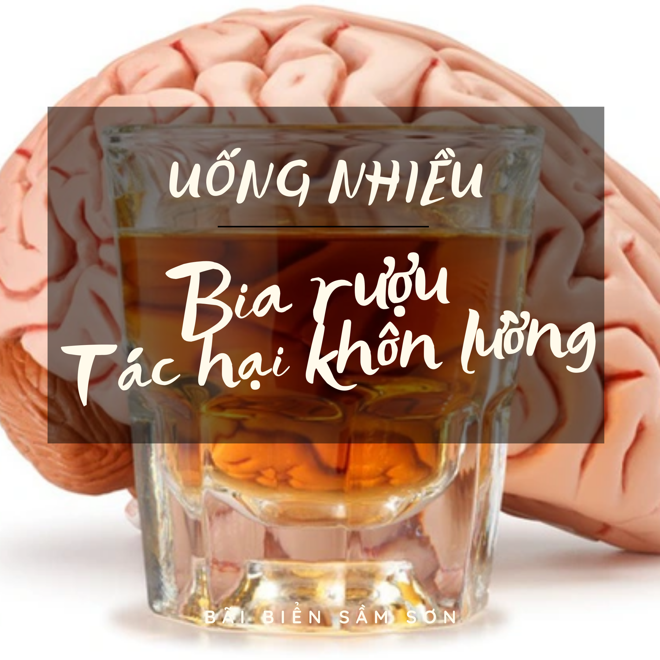 Chỉnh sửa gene để trị trứng nghiện rượu - Nghiên cứu mới Chỉnh sửa gene để trị trứng nghiện rượu - Nghiên cứu mới